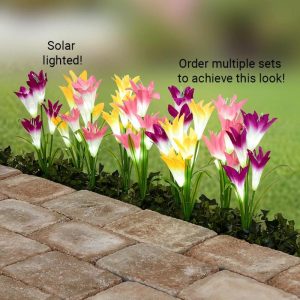 Set Of 3 Solar Lily Garden Lights  |  Solar & Outdoor Lighting Garden & Outdoors Solar & Outdoor Lighting