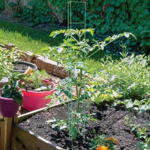 6-Pc. 57″ Tomato Ladder  |  Gardening Solutions Garden & Outdoors Gardening Solutions